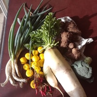 ら・ぱれっと農園の野菜